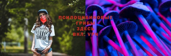 mix Белокуриха