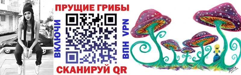 Галлюциногенные грибы Cubensis  Малмыж 